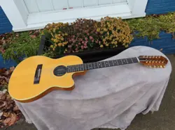 ELECTRIC 12 STRING
