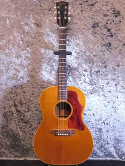 GIBSON B 25N ADJ  69