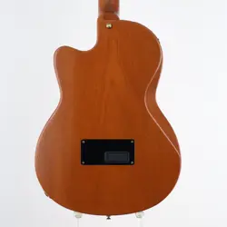 ATKINS CE 1997