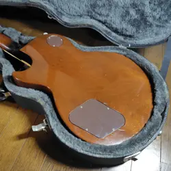 1995 SUNBURST