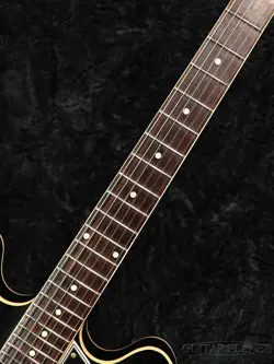 EBONY VOS W/BIGSBY