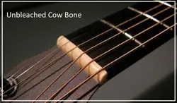 NUT GIBSON EPI