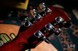 ES-335 ESDY-TE