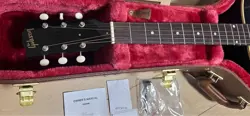 SADDLE EBONY 2024