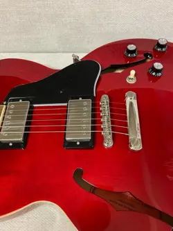 ES-335 INSPIRED