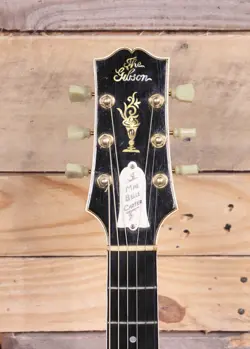L-5 ACOUSTIC