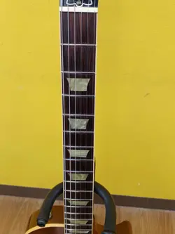 USA LESPAUL CLASSIC