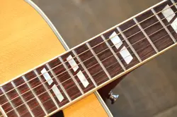 DREADNAUGHT GUITAR OHSC