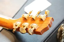 NATURAL ACOUSTIC/ ELECTRIC