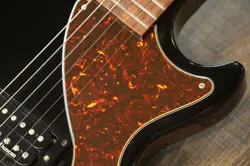 EBONY CASE