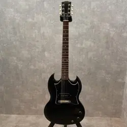 JUNIOR 2005 ELECTRIC