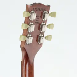 BROWN MAHOGANY BODY
