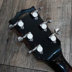 ES-335 COPY COIL