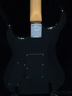 GIBSON FLOYD ROSE