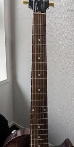 MODIFIED GIBSON LES PAUL FADED 2017