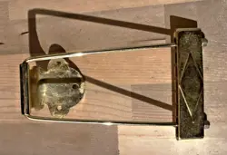 1970S GIBSON ES-345