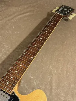 ES-335 GLOSS