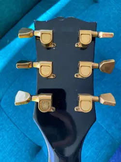 GOLD SCHALLER NORLIN-ERA