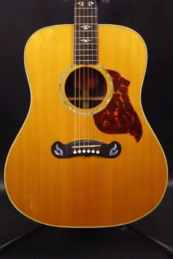 GIBSON DOVE ARTIST