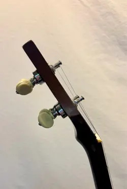 BANJO WITH HARDSHELL