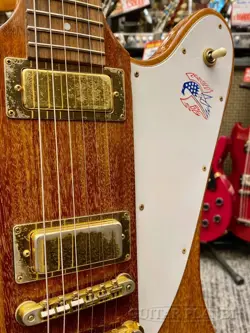 FIREBIRD 76 BICENTENNIAL