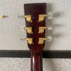 CASE BRASS PEGS