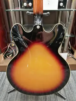 ES-335 IG