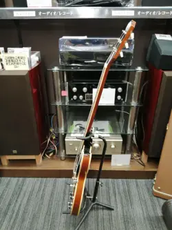 EPIPHONE ES-335 IG