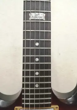 W/ GIG CASE