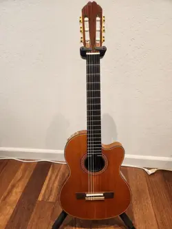 GUITAR PRICED