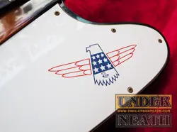 THUNDERBIRD BICENTENNIAL