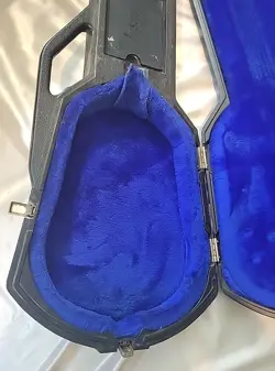 PAUL PROTECTOR CASE