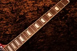 FIREBIRD PLATYPUS #233040069