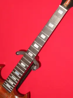 1974 BROWN SG