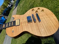 SWITCHABLE PICKUPS