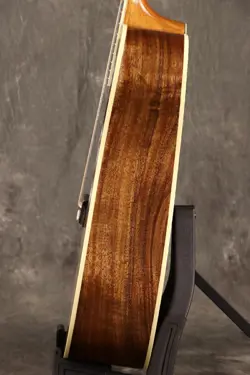 SHOP HUMMINGBIRD CUSTOM