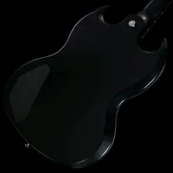 VINTAGE BURST 2017