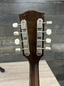 ELECTRIC MANDOLIN