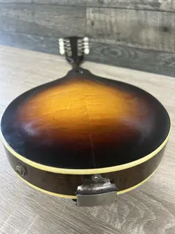 ELECTRIC MANDOLIN