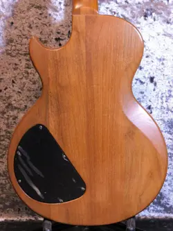 GIBSON THE PAUL '80 NO.DG1712