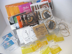 D'ADDARIO ZIKO