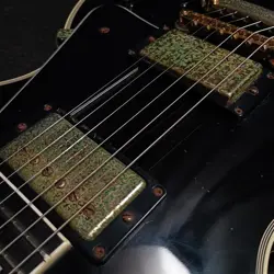 CUSTOM EBONY 2006