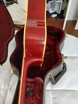 DOVE GUITAR