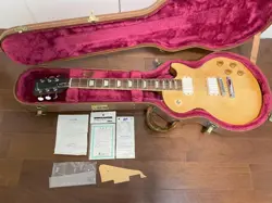 GIBSON LES PAUL STANDARD RAW POWER EMG