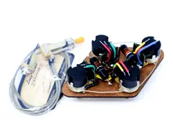 JIMMY PAGE GIBSON LES PAUL INSPIRED WIRING HARNESS - “CREAMTONE” SPEC BUMBLEBEES