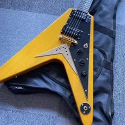 HUMBUCKER HARD CASE