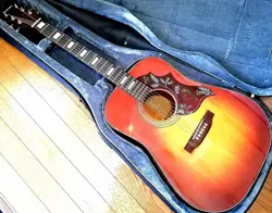 YW-25HR GIBSON HUMMING
