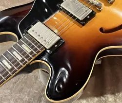 ES-335TD VINTAGE