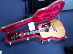 DOVE AC/ELEC GUITAR