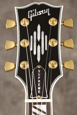 BLUEBERRY BURST ES-335